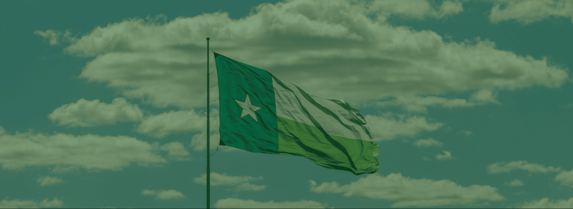 UNT's flag